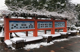 2018年校园雪景